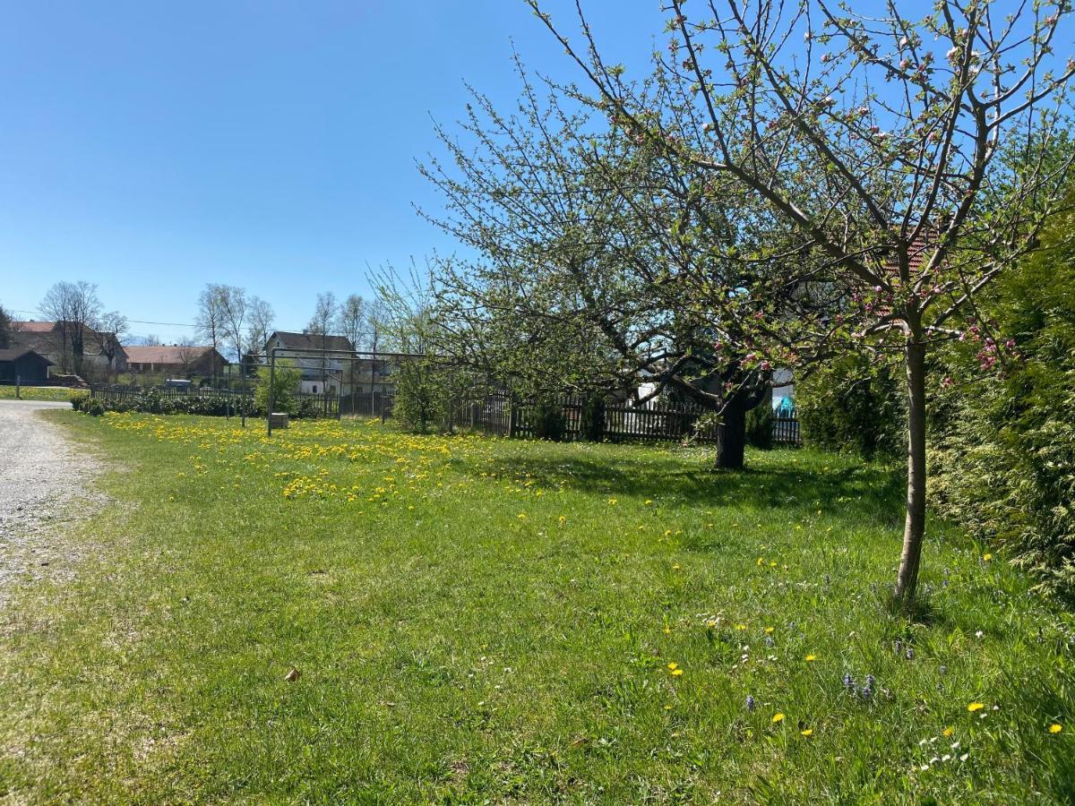 Gasthof Graf Steingaden Bagian luar foto